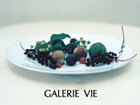GALERIE VIE