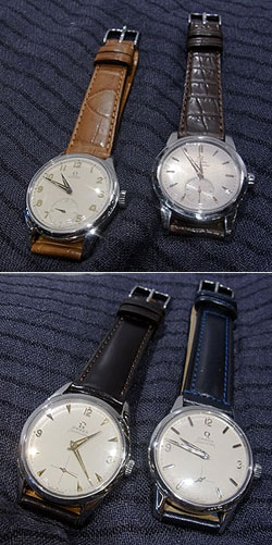 1125shibu3b.jpg