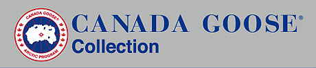 canadagoose1.jpg.